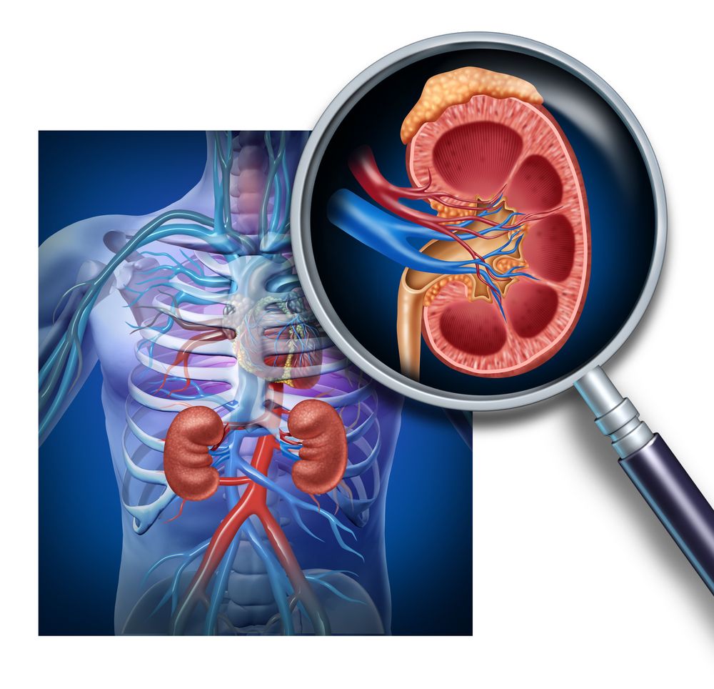 Nexium-Prilosec-Kidney-Damage