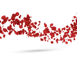 Xarelto, anticoagulant, blood flow