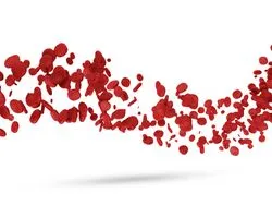 Xarelto, anticoagulant, blood flow