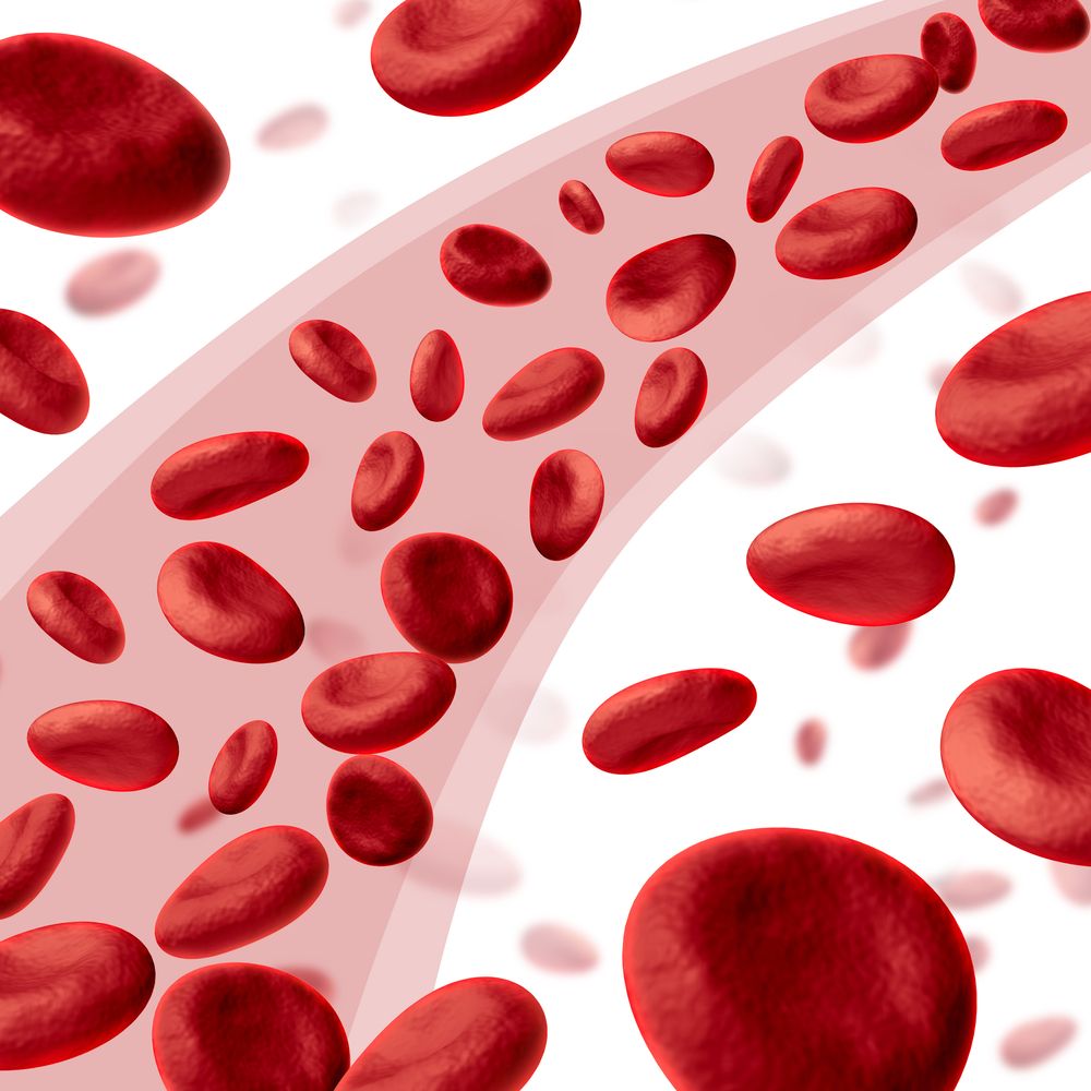 Filter-For-Blood-Clots
