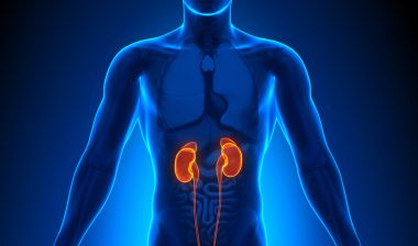 Invokana-Kidney-Failure