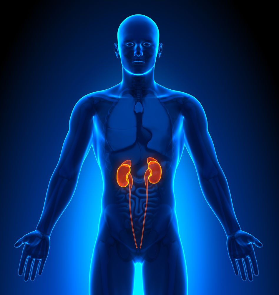 Invokana-Kidney-Failure