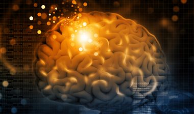 brain