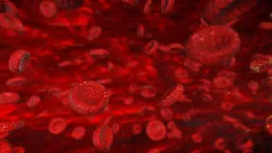 blood cells