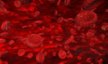 blood cells