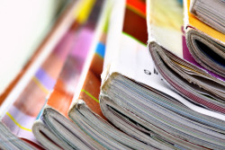 Synapse Auto-Renewal Magazine Subscription