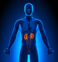 nexium-renal-disease