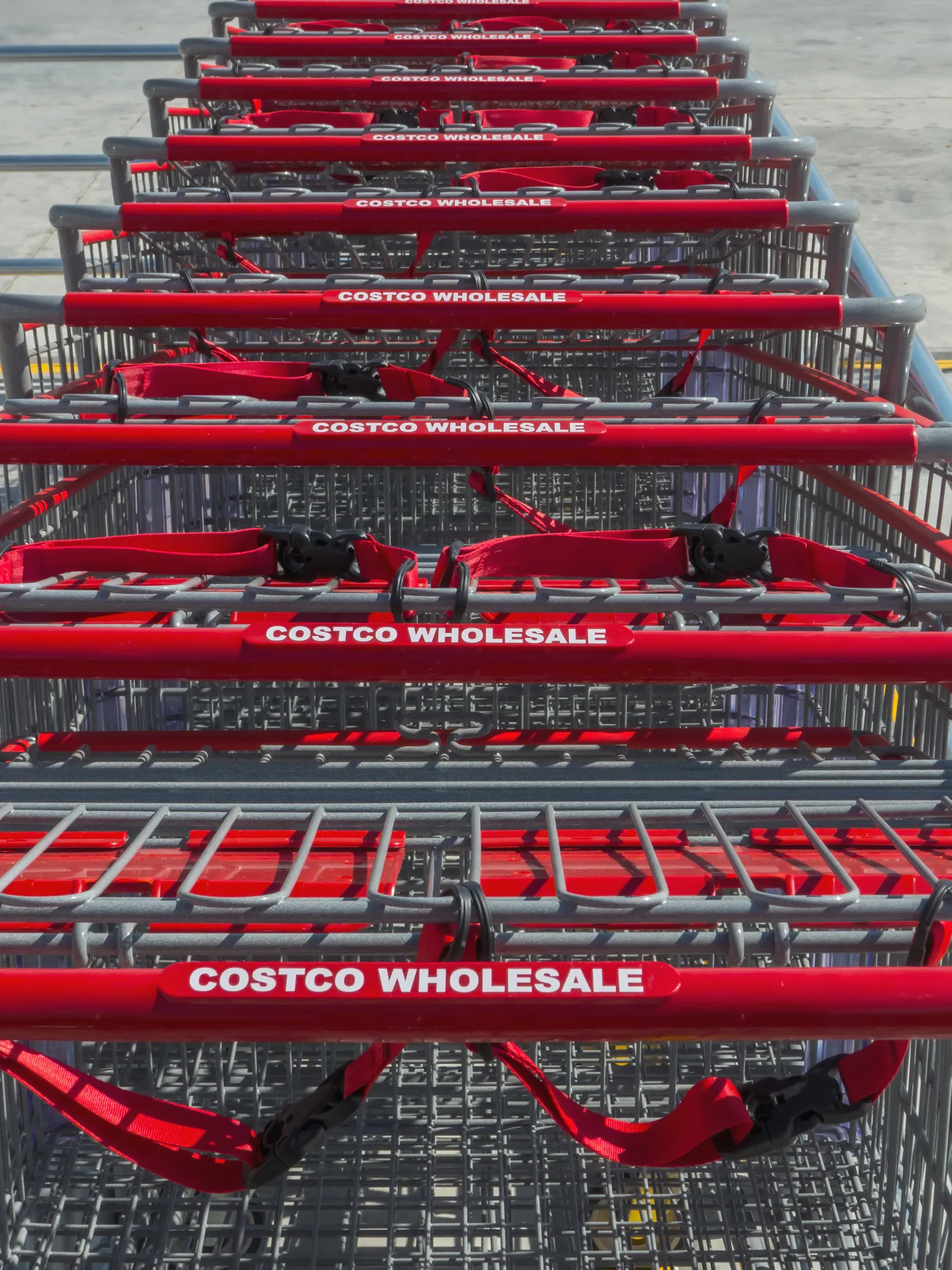 Costco Carts