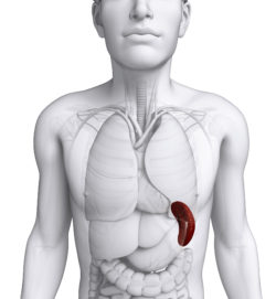 benicar-caused-splenic-flexure-syndrome