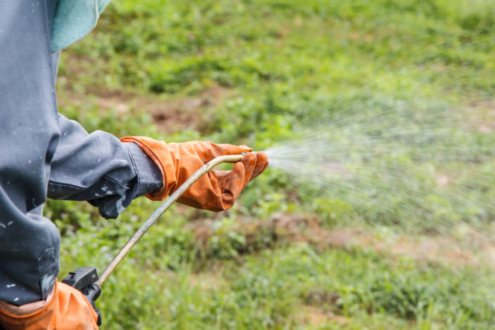 Roundup linked to cancer