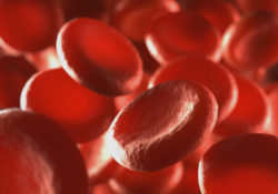 anticoagulant blood thinner Pradaxa Eliquis Xarelto