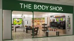body-shop-facta
