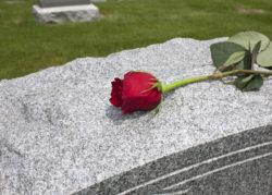 A single rose placed on a grave, wrongful death