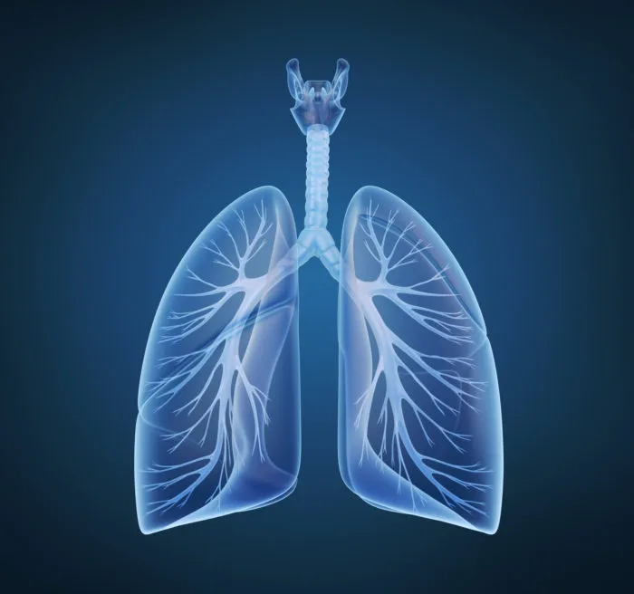 second-hand-asbestos-exposure