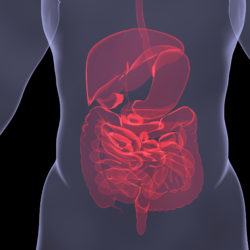 Eliquis Gastrointestinal Bleeding
