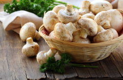 mushroom-price-fixing