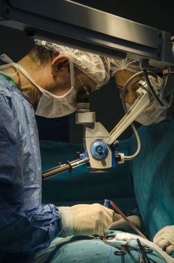 hernia surgery
