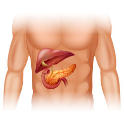 Onglyza Pancreatic Cancer