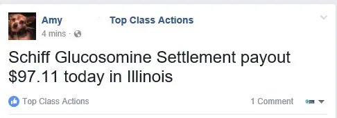 Schiff Glucosamine FB 1-30-17