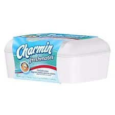 Charmin-Freshmates-Lawsuit