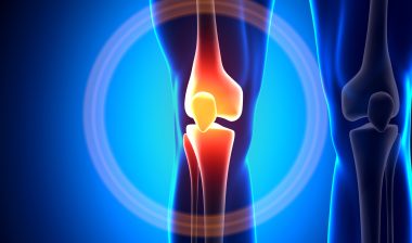 knee joint