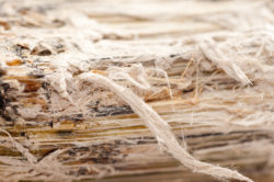 asbestos lung cancer asbestos exposure