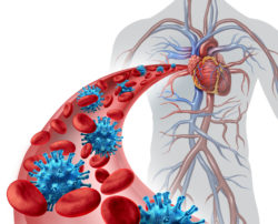 blood virus infection