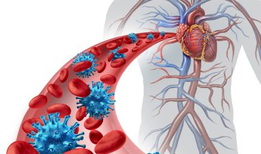 blood virus infection