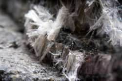 asbestos lung cancer mesothelioma