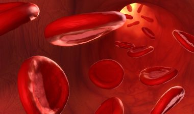 Bard IVC filter complications blood cells