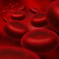 Eliquis lawsuit apixaban blood thinner anticoagulant