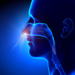 breathing, asbestos