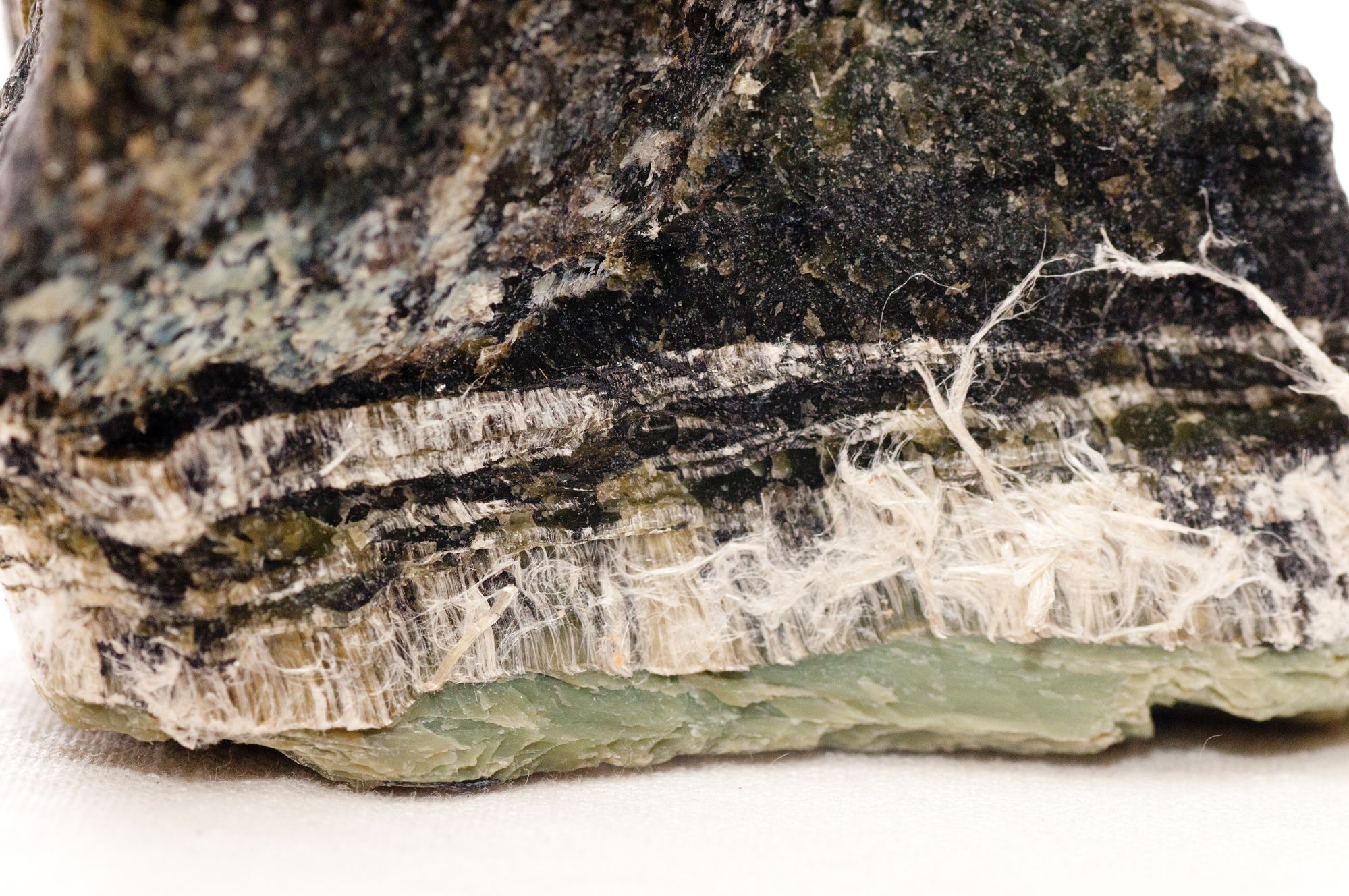 asbestos-lung-disease