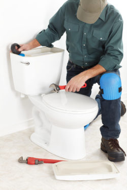 Fluidmaster toilet connectors plumber