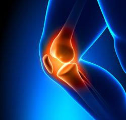 painful knee joint