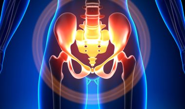 female pubic area