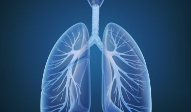 lungs