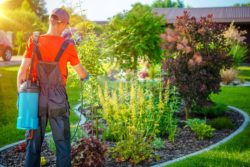 Roundup Cancer Monsanto weed spray