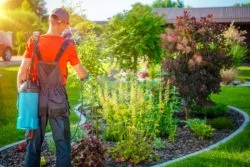 Roundup Cancer Monsanto weed spray