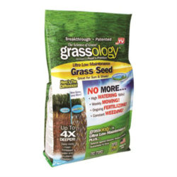 grassology-grass-seed
