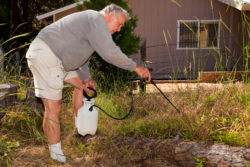 Monsanto Roundup cancer lymphoma weed killer garden