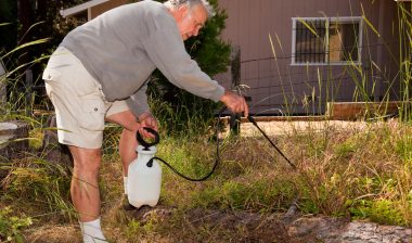 Monsanto Roundup cancer lymphoma weed killer garden