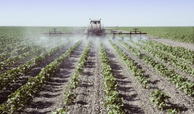 Couple Files New Roundup Monsanto Lawsuit Alleging Weedkiller Caused Cancer