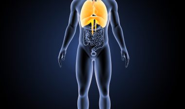 lung cancer, respiratory system