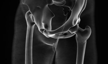hip anatomy drawing