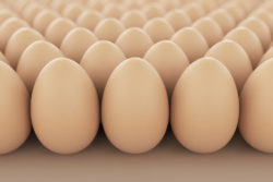 egg antitrust class action settlement
