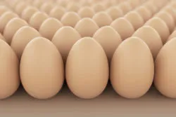 egg antitrust class action settlement