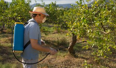 Roundup-lymphoma-lawsuit