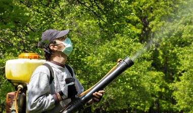 Roundup-mass-tort-lawsuit
