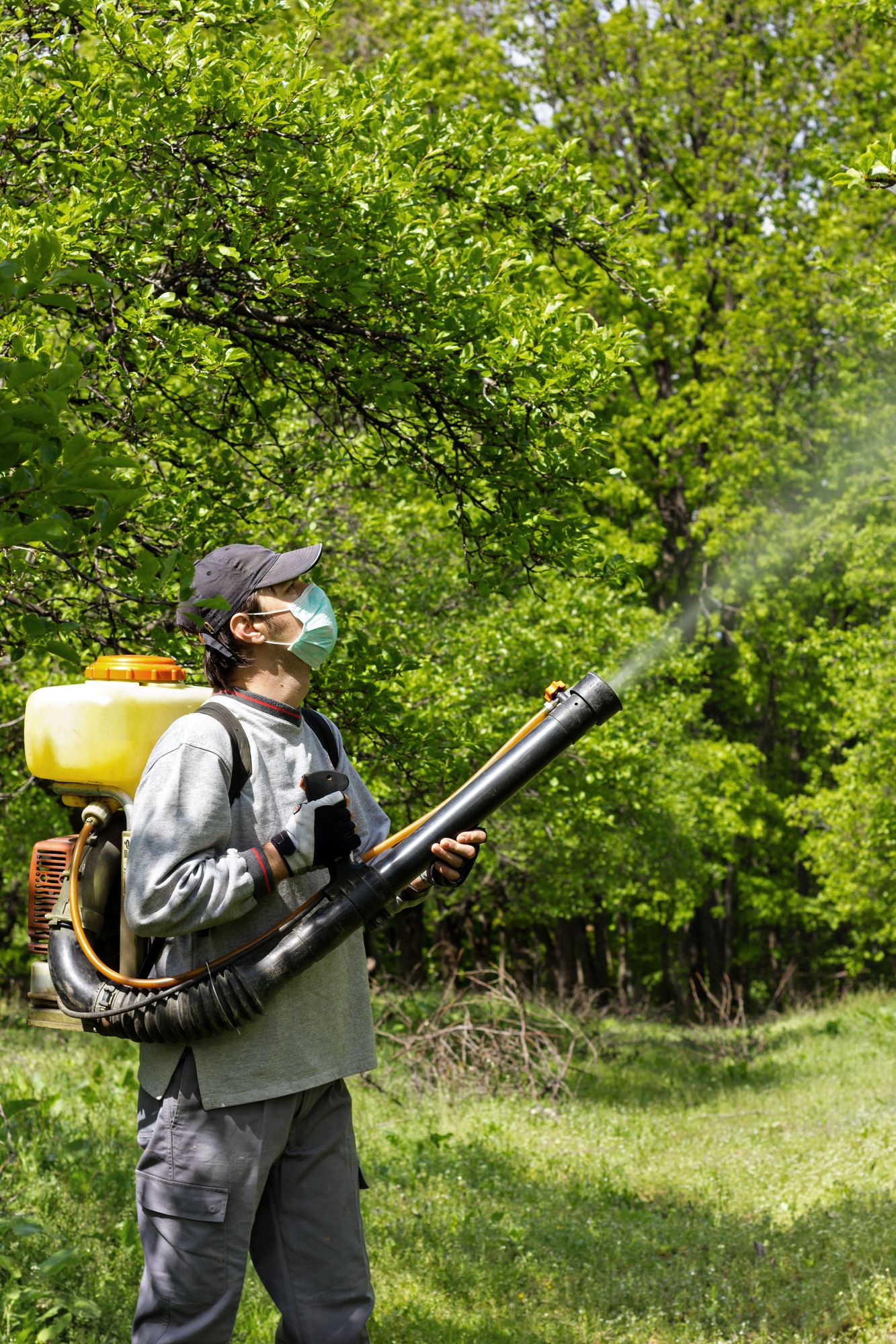 Roundup Mass Tort Lawsuit Claims Scientific Fraud by Monsanto Top